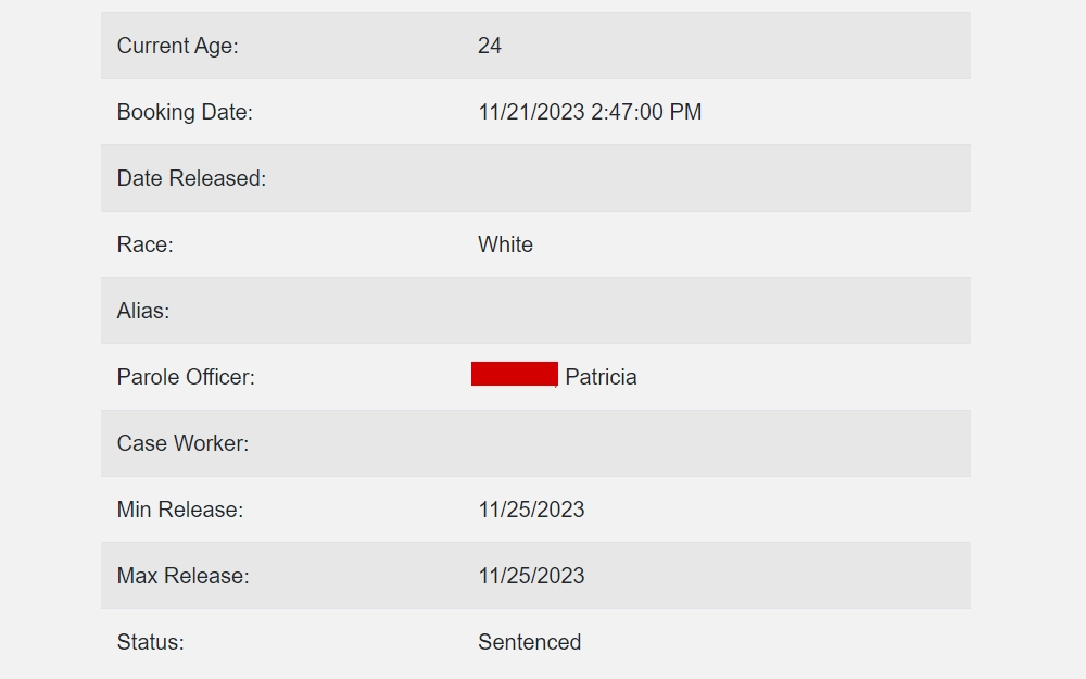Screenshot of a more detailed information of an individual from the search results showing current age, race, important dates, status, and the name of parole officer.